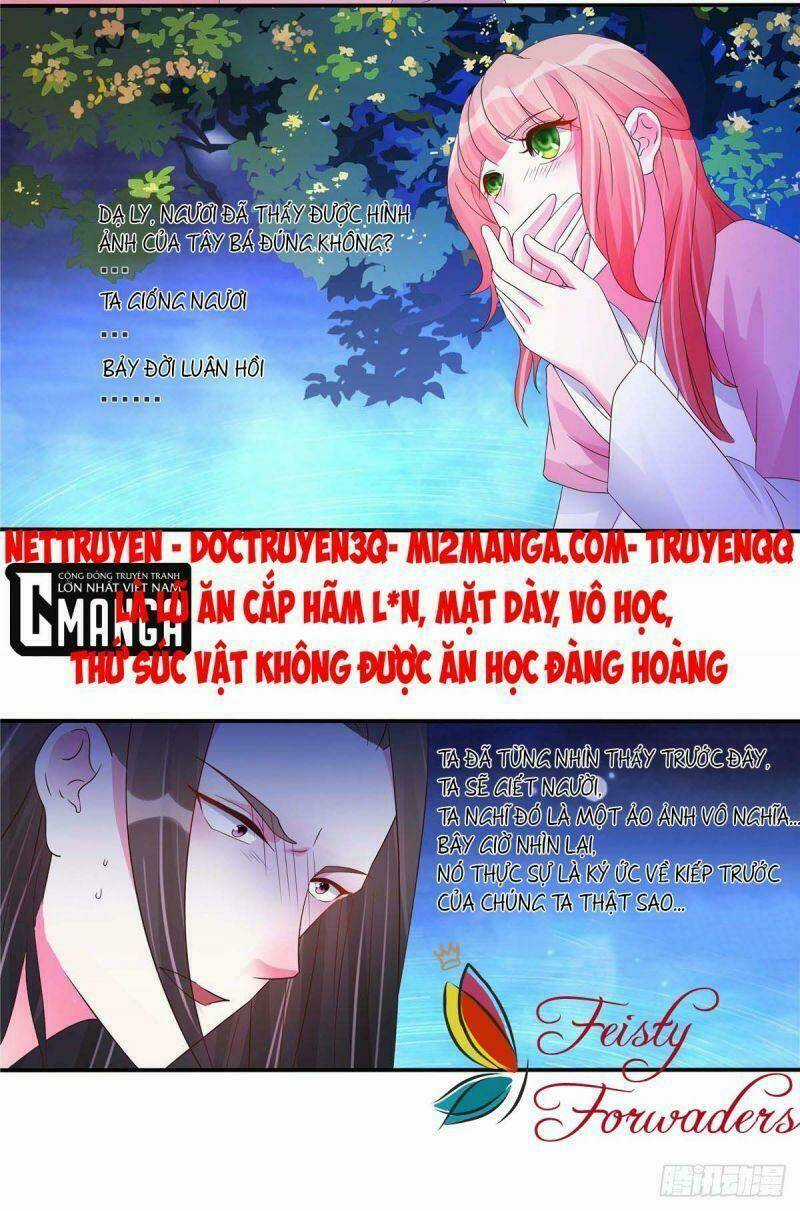 Đặc Công Cuồng Phi: Tuyệt Thế Tu Chân Chapter 22 trang 4