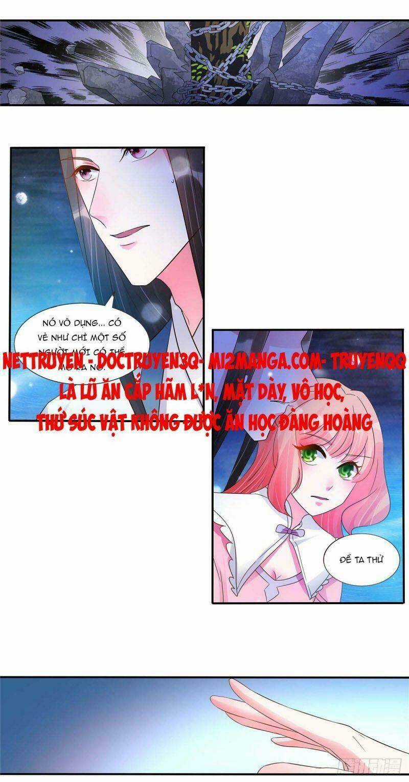 Đặc Công Cuồng Phi: Tuyệt Thế Tu Chân Chapter 22 trang 7