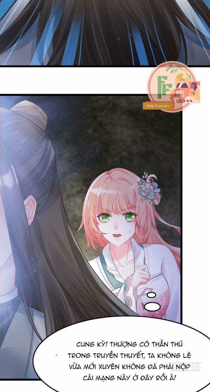 Đặc Công Cuồng Phi: Tuyệt Thế Tu Chân Chapter 3 trang 4