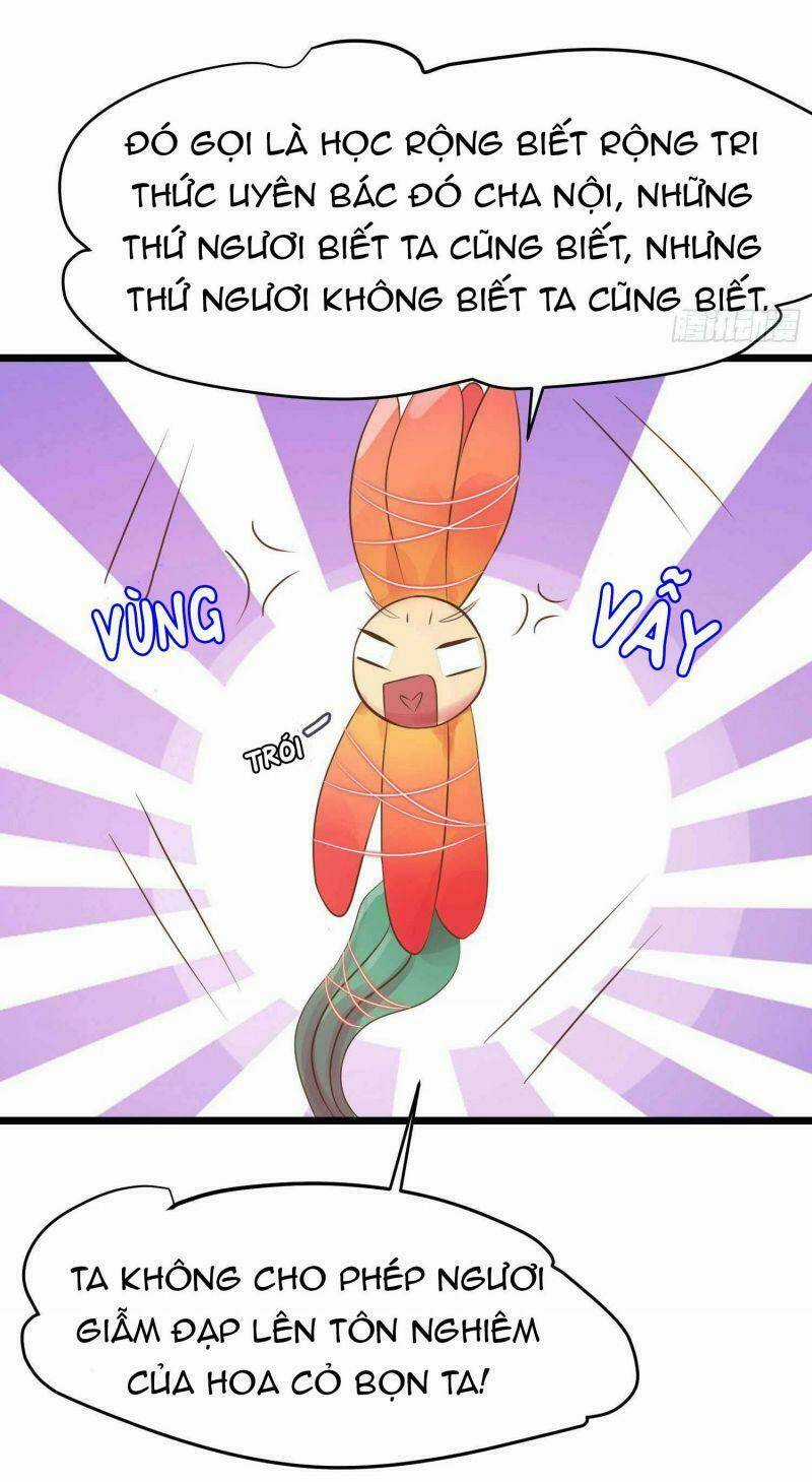 Đặc Công Cuồng Phi: Tuyệt Thế Tu Chân Chapter 8 trang 3