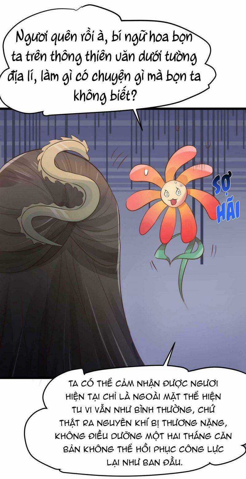 Đặc Công Cuồng Phi: Tuyệt Thế Tu Chân Chapter 8 trang 6