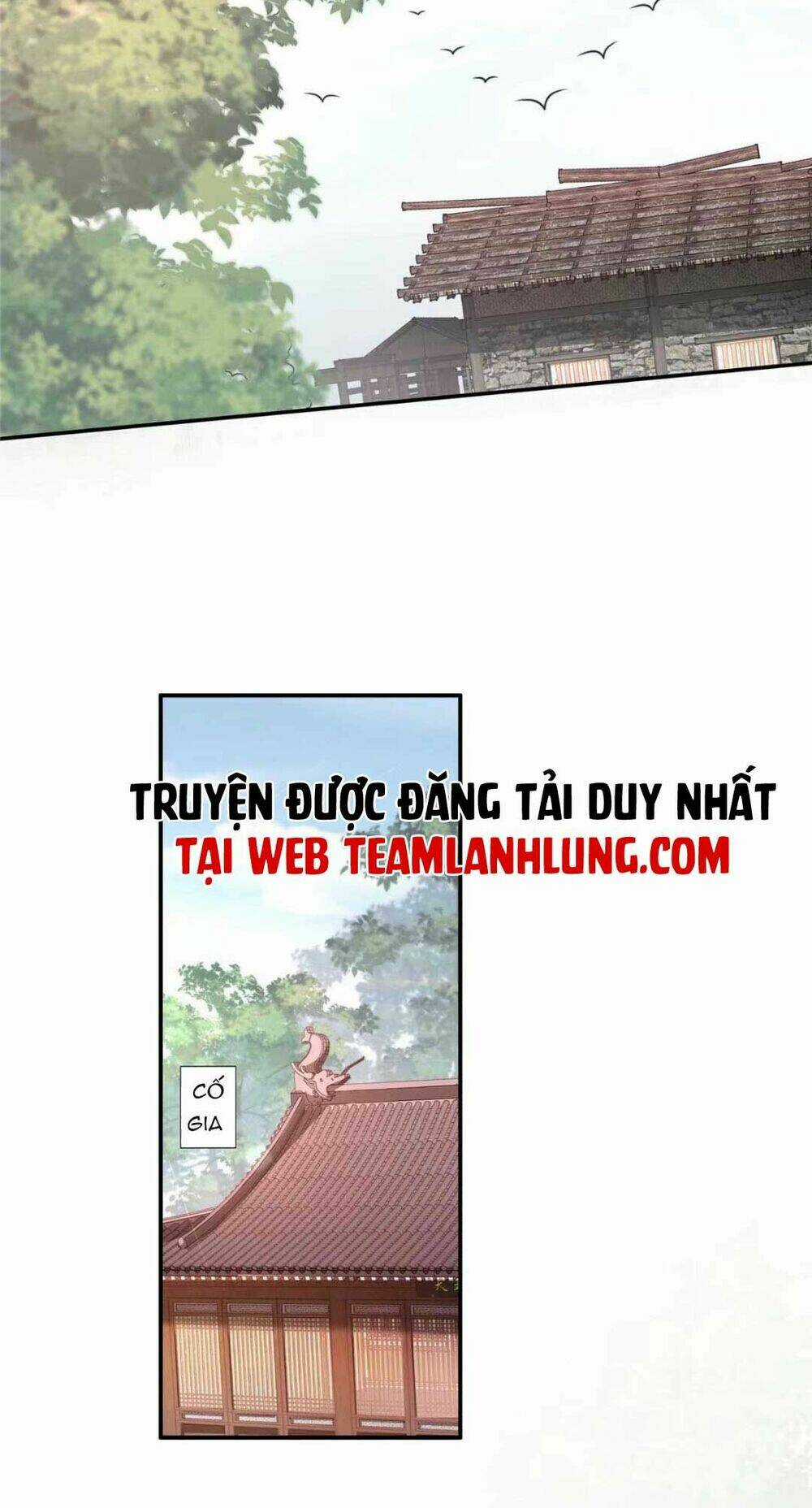 Đặc Công Thần Y Xuyên Không Chapter 11 trang 17