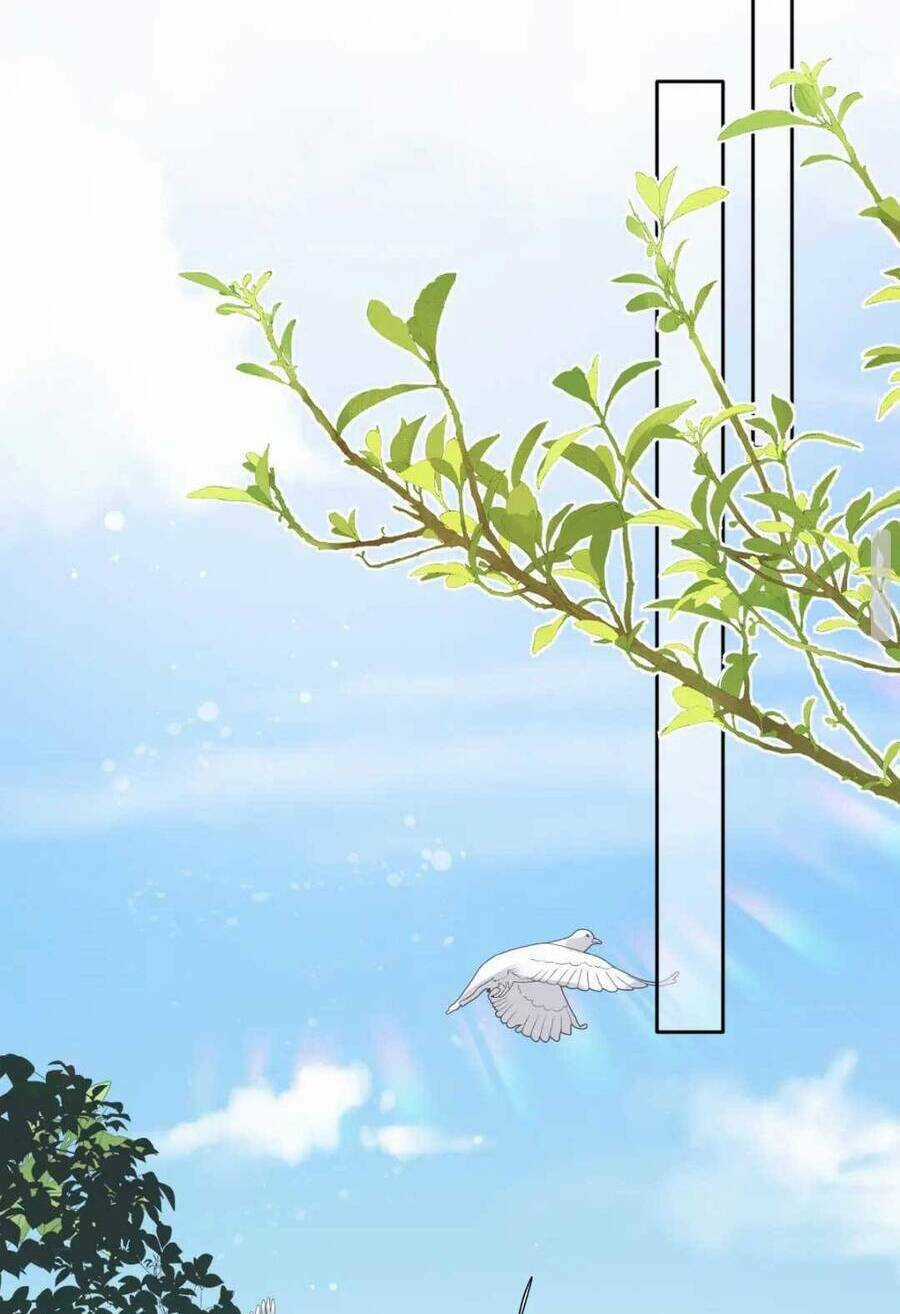 Đặc Công Thần Y Xuyên Không Chapter 39 trang 3