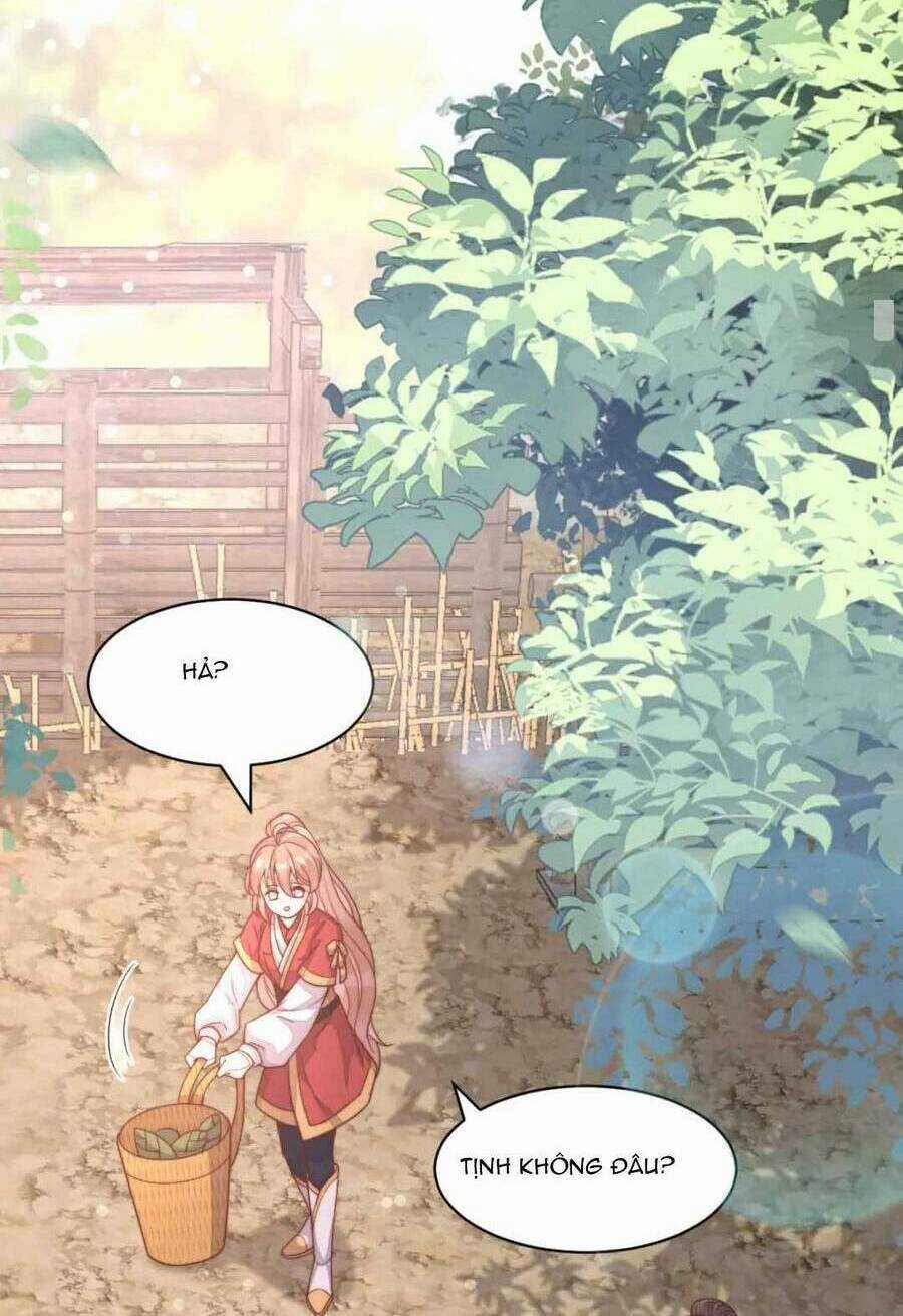 Đặc Công Thần Y Xuyên Không Chapter 41 trang 4