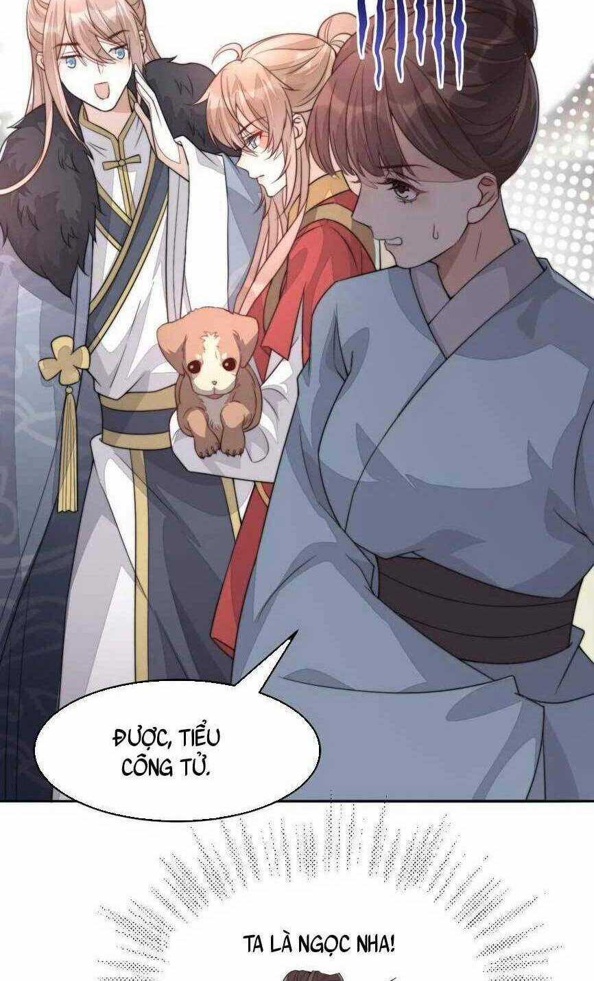 Đặc Công Thần Y Xuyên Không Chapter 46 trang 15