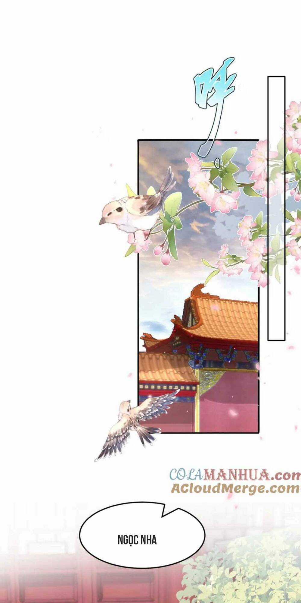 Đặc Công Thần Y Xuyên Không Chapter 50 trang 19