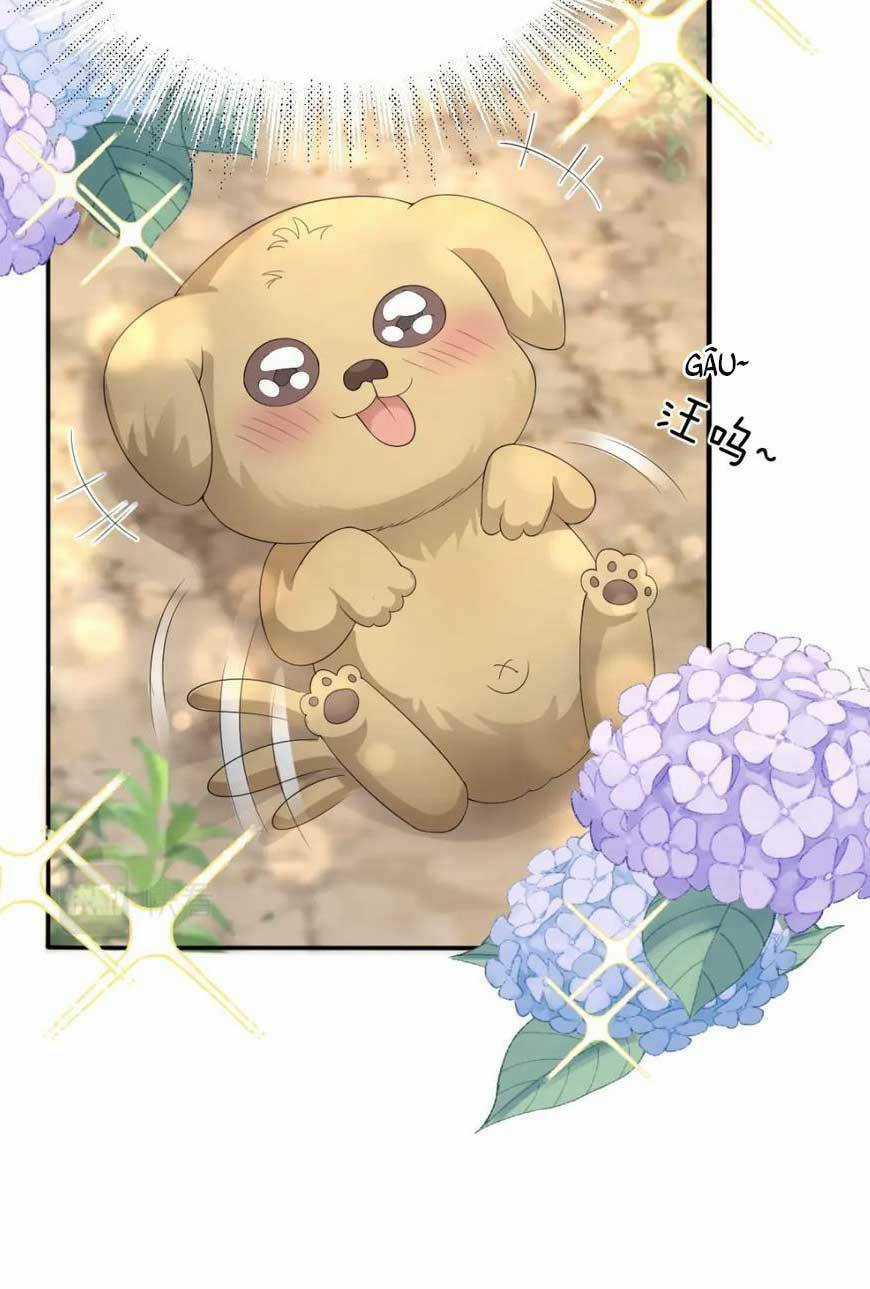 Đặc Công Thần Y Xuyên Không Chapter 63 trang 16