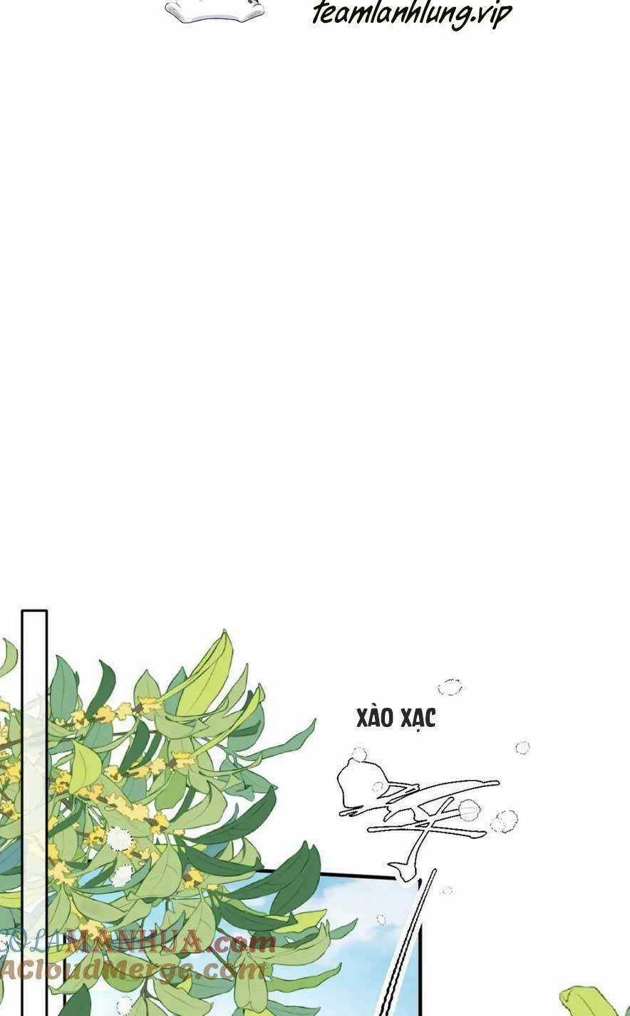 Đặc Công Thần Y Xuyên Không Chapter 67 trang 4