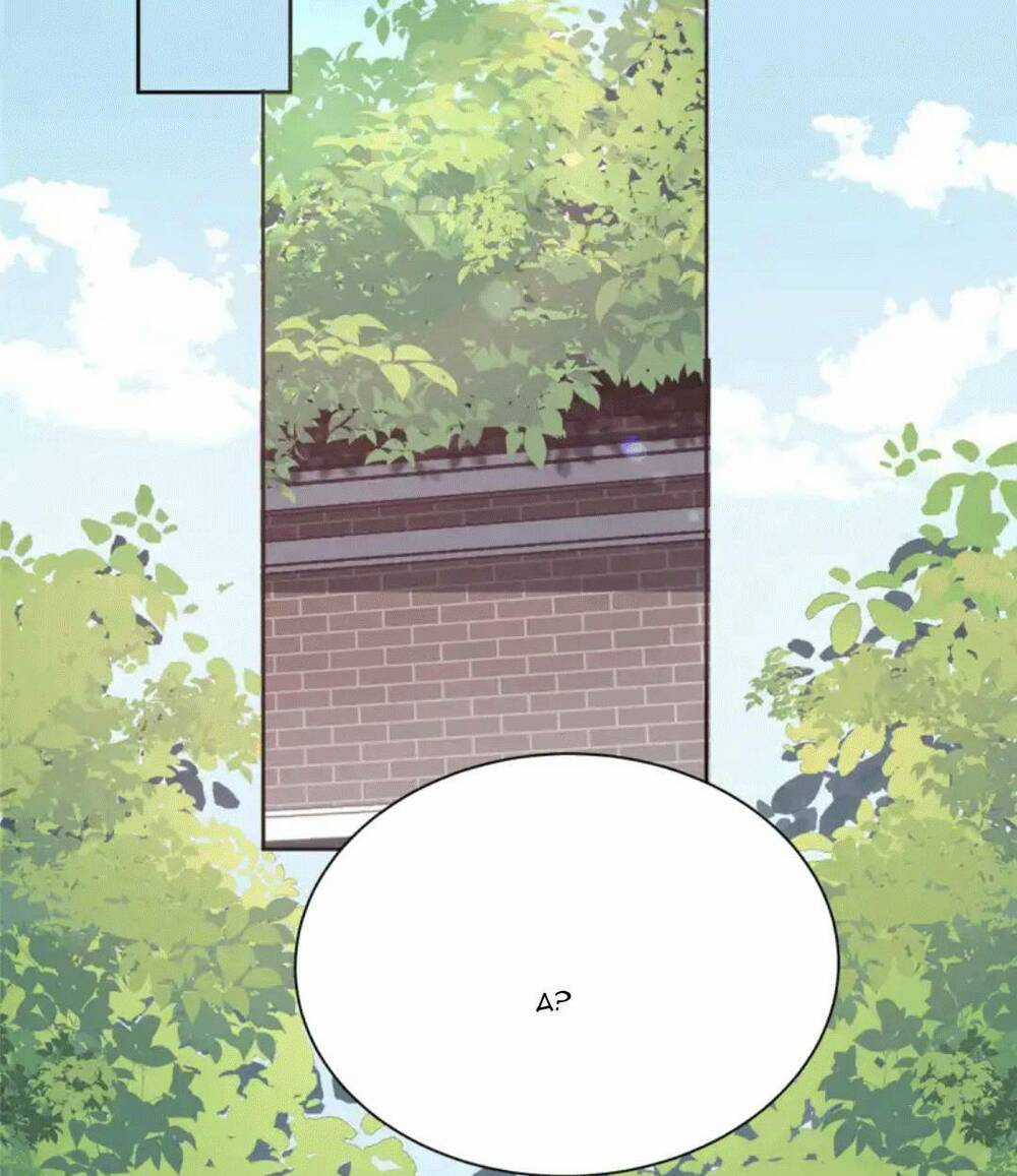 Đặc Công Thần Y Xuyên Không Chapter 8 trang 24