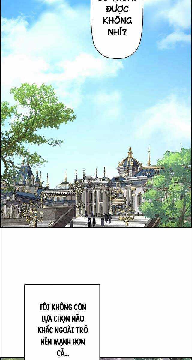 Đặc Tính Tiến Hóa Của Chiêu Hồn Sư Chapter 2 trang 51