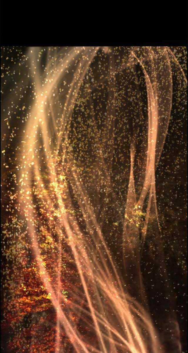 Đặc Tính Tiến Hóa Của Chiêu Hồn Sư Chapter 2 trang 74