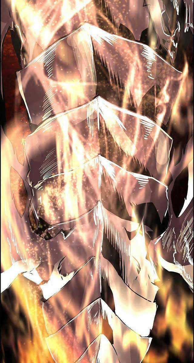 Đặc Tính Tiến Hóa Của Chiêu Hồn Sư Chapter 2 trang 77