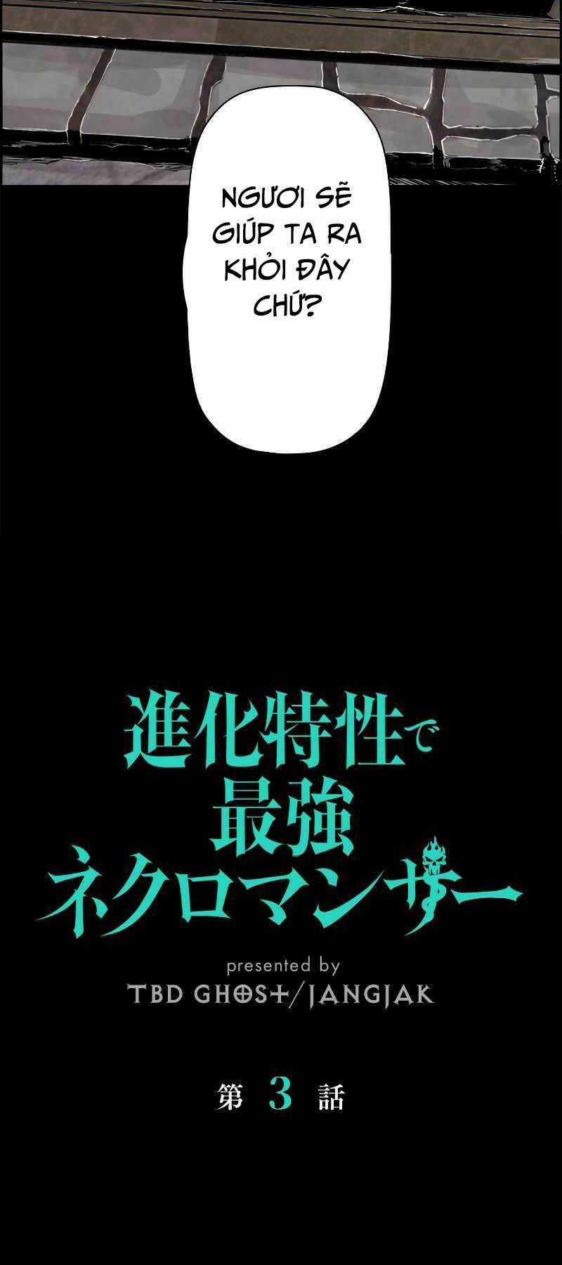 Đặc Tính Tiến Hóa Của Chiêu Hồn Sư Chapter 3 trang 16