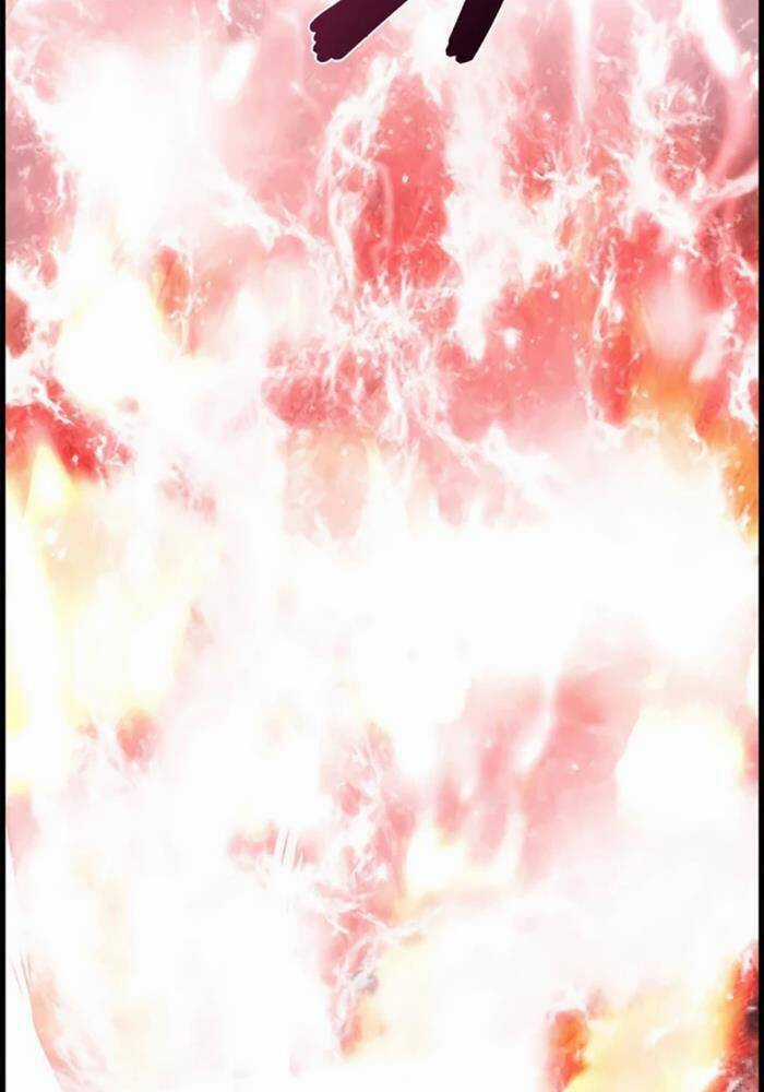 Đặc Tính Tiến Hóa Của Chiêu Hồn Sư Chapter 71 trang 74