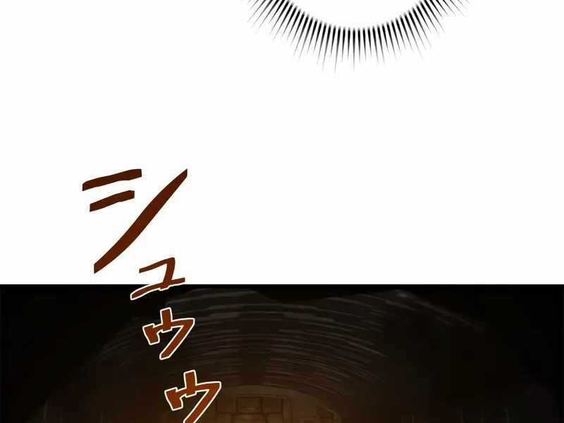 Đặc Tính Tiến Hóa Của Chiêu Hồn Sư Chapter 77 trang 145