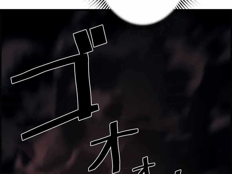 Đặc Tính Tiến Hóa Của Chiêu Hồn Sư Chapter 77 trang 190