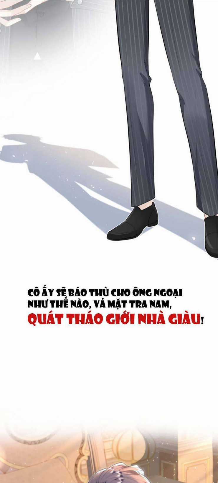 Đại Boss Thần Bí Lại Chiều Hư Vợ Chapter 1 trang 6