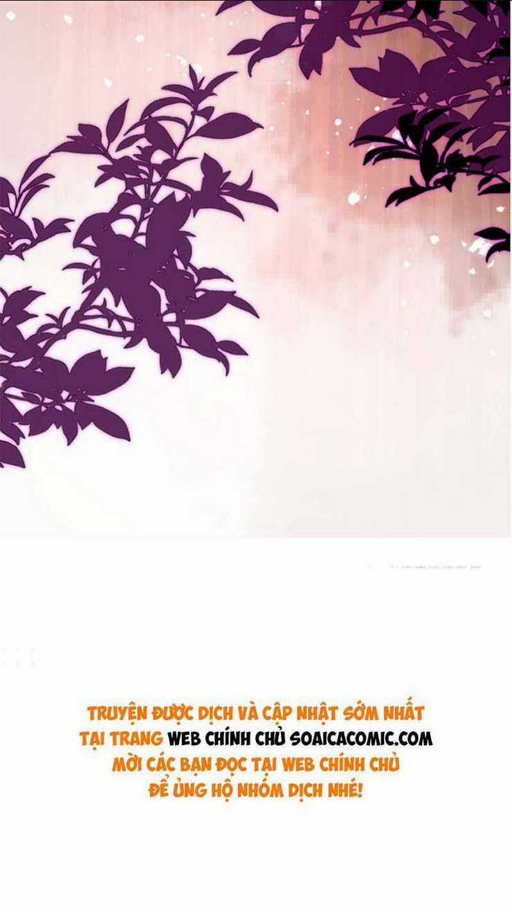 Đại Boss Thần Bí Lại Chiều Hư Vợ Chapter 12 trang 32