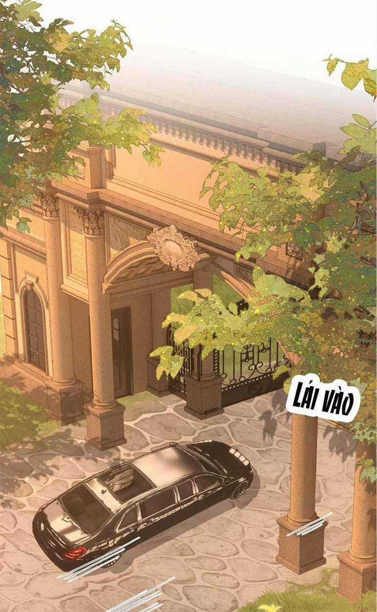 Đại Boss Thần Bí Lại Chiều Hư Vợ Chapter 22 trang 0