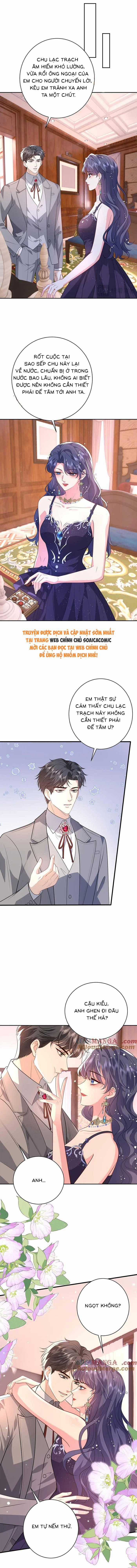 Đại Boss Thần Bí Lại Chiều Hư Vợ Chapter 59 trang 4