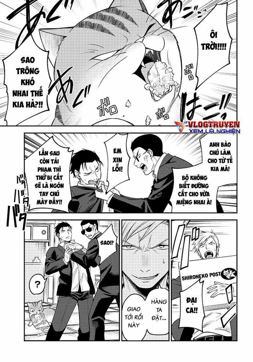 Đại Ca Băng Mèo Mướp Chapter 1 trang 10