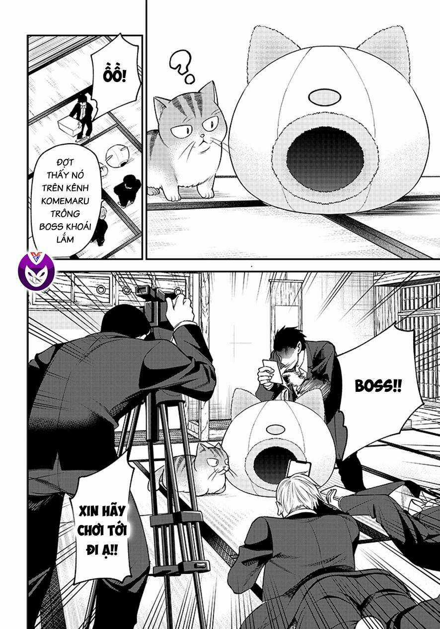 Đại Ca Băng Mèo Mướp Chapter 1 trang 11