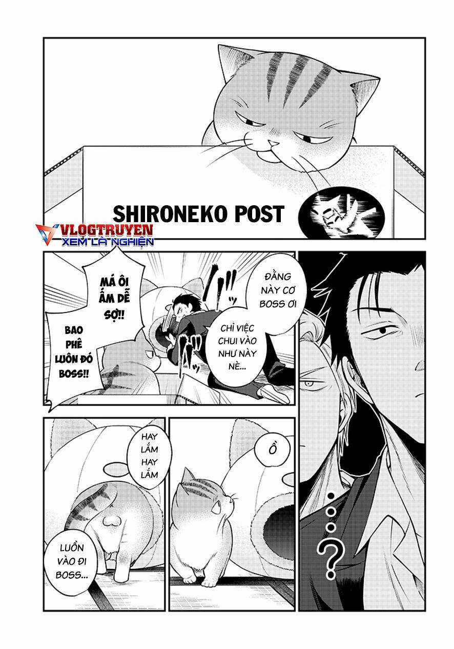 Đại Ca Băng Mèo Mướp Chapter 1 trang 12