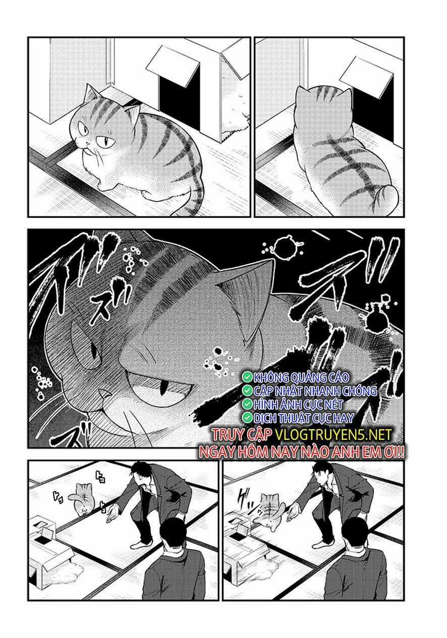 Đại Ca Băng Mèo Mướp Chapter 1 trang 18