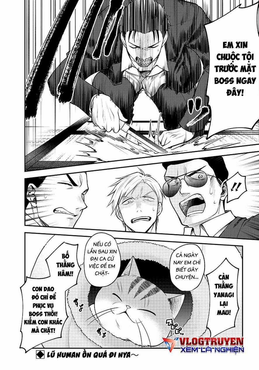 Đại Ca Băng Mèo Mướp Chapter 1 trang 19