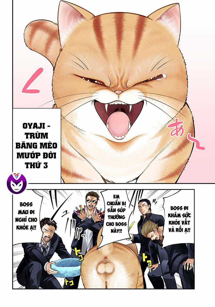 Đại Ca Băng Mèo Mướp Chapter 1 trang 2