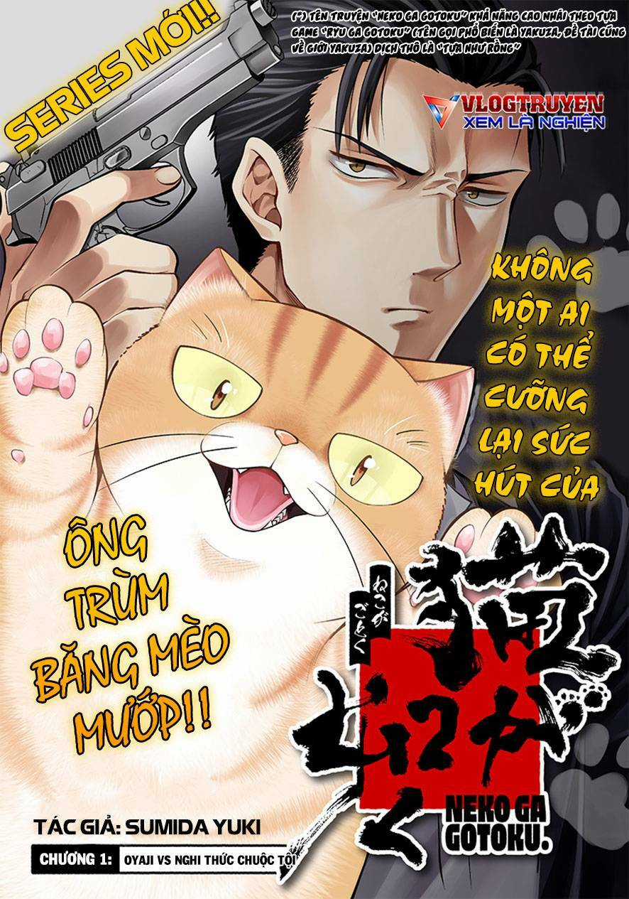 Đại Ca Băng Mèo Mướp Chapter 1 trang 3