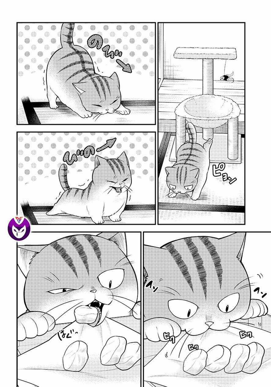 Đại Ca Băng Mèo Mướp Chapter 1 trang 9