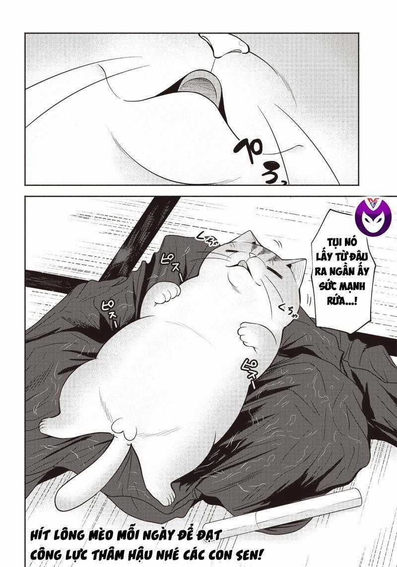 Đại Ca Băng Mèo Mướp Chapter 2 trang 18