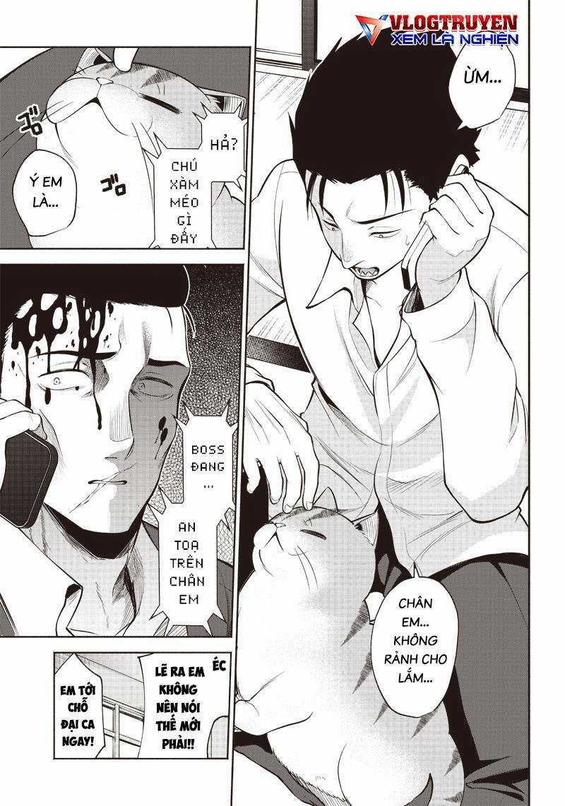 Đại Ca Băng Mèo Mướp Chapter 2 trang 3