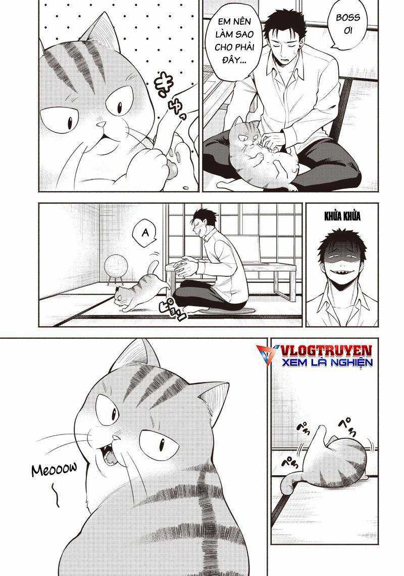 Đại Ca Băng Mèo Mướp Chapter 2 trang 5