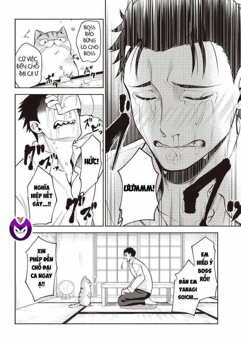 Đại Ca Băng Mèo Mướp Chapter 2 trang 6