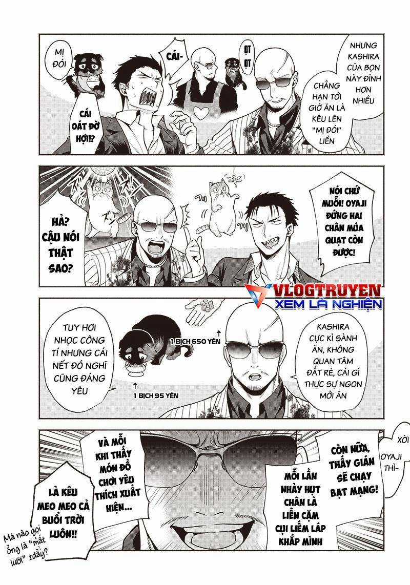 Đại Ca Băng Mèo Mướp Chapter 3 trang 12