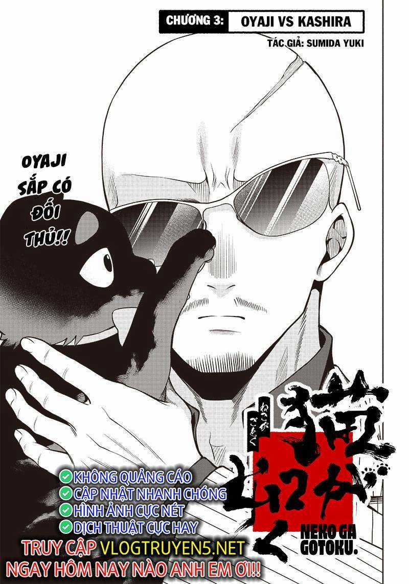 Đại Ca Băng Mèo Mướp Chapter 3 trang 3