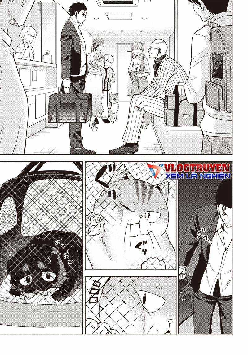 Đại Ca Băng Mèo Mướp Chapter 3 trang 8