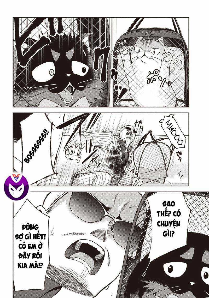 Đại Ca Băng Mèo Mướp Chapter 3 trang 9