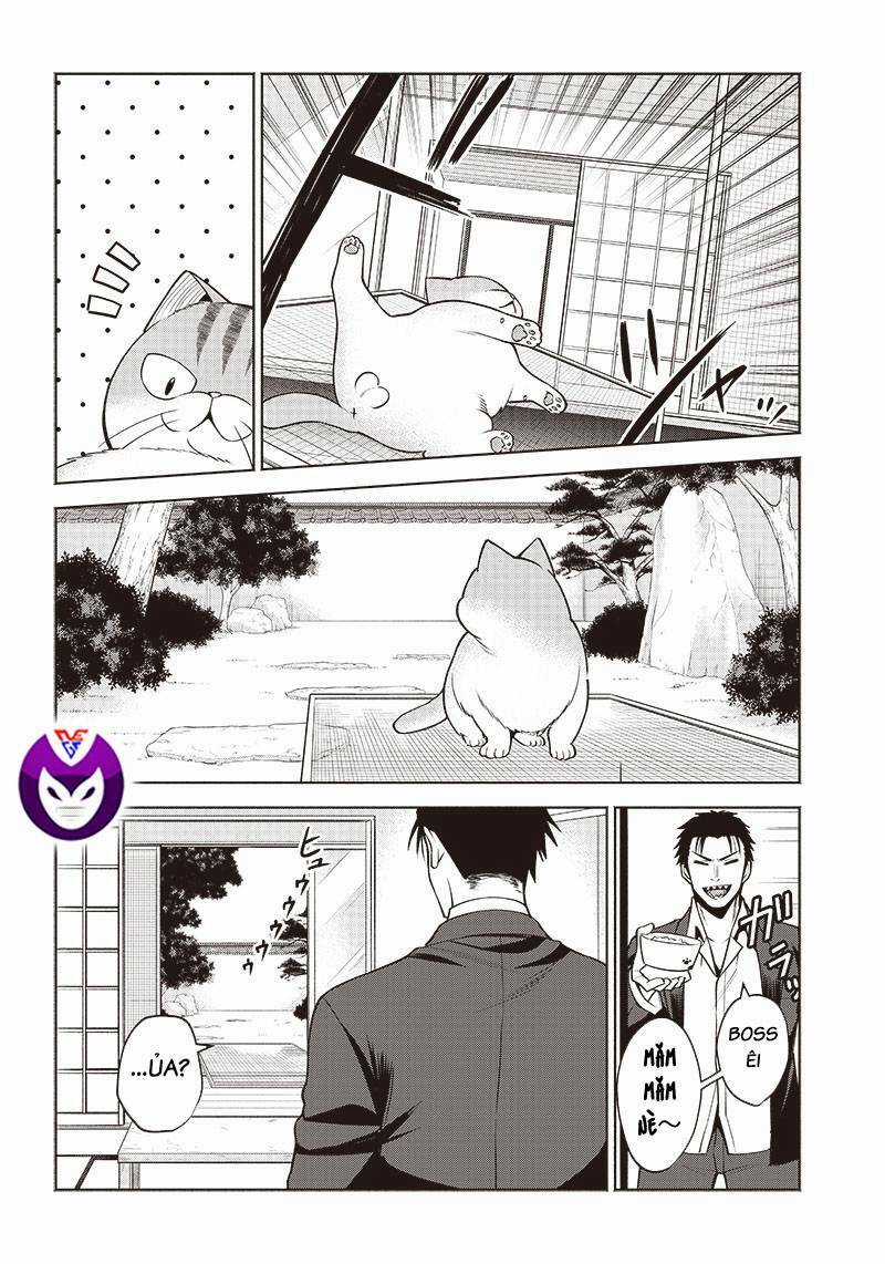 Đại Ca Băng Mèo Mướp Chapter 4 trang 2