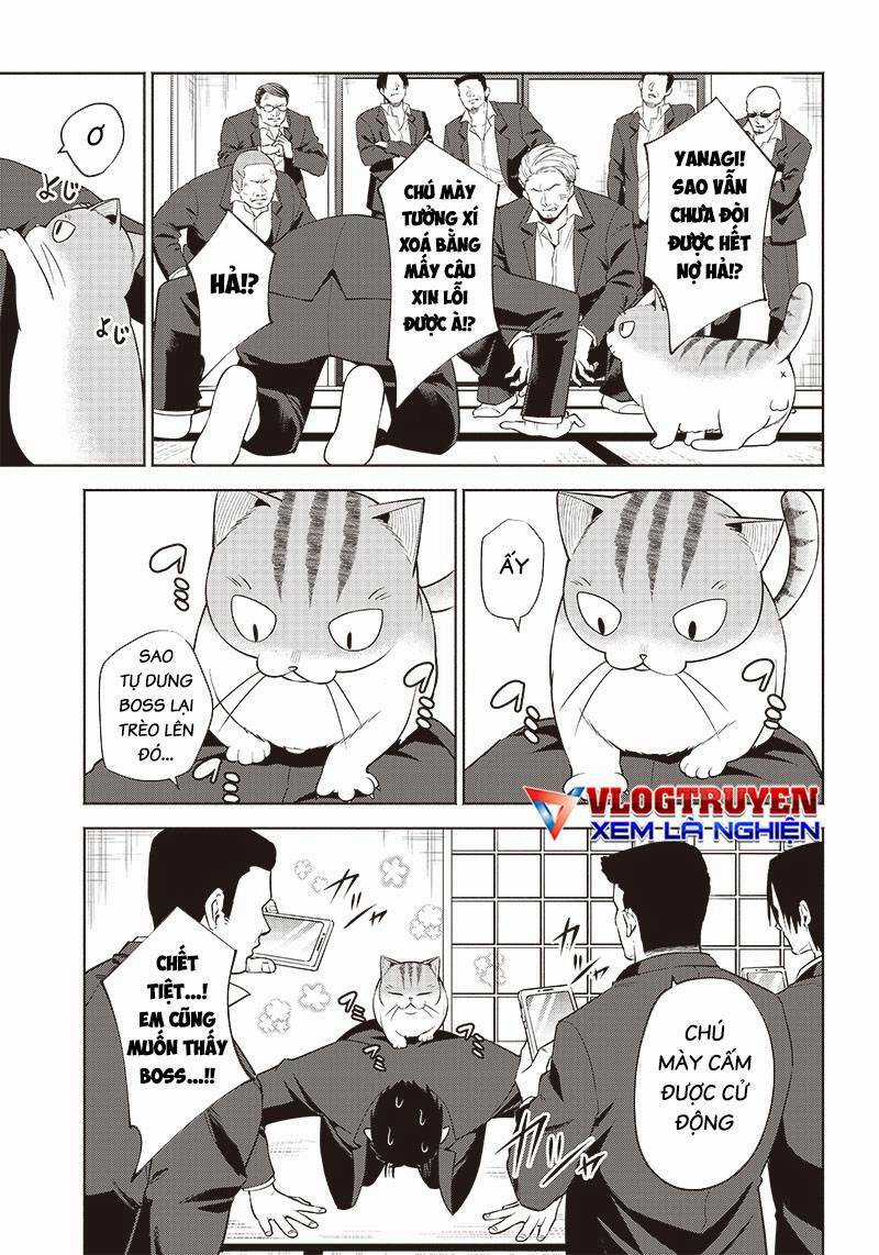 Đại Ca Băng Mèo Mướp Chapter 5 trang 3