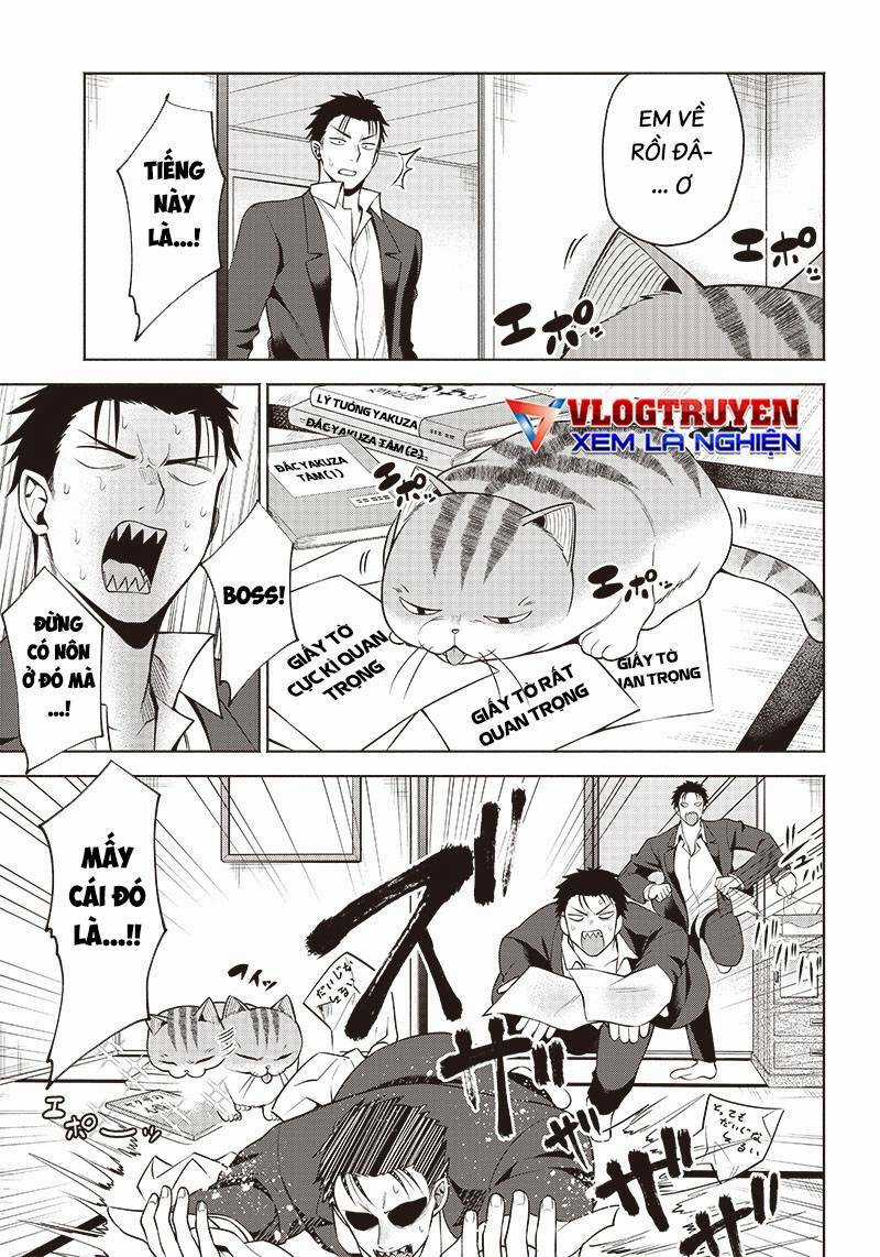 Đại Ca Băng Mèo Mướp Chapter 5 trang 5