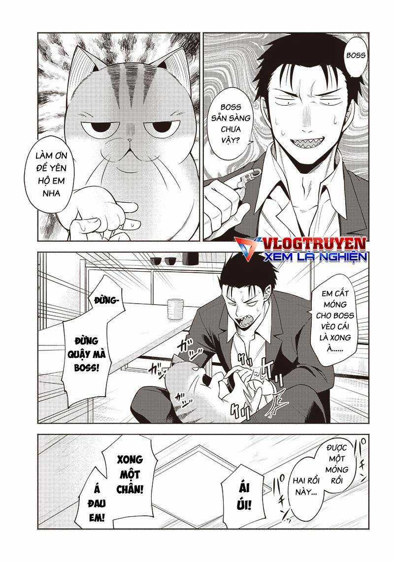 Đại Ca Băng Mèo Mướp Chapter 5 trang 8