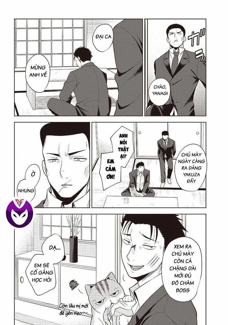 Đại Ca Băng Mèo Mướp Chapter 5 trang 9