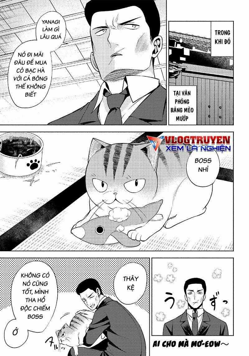 Đại Ca Băng Mèo Mướp Chapter 6 trang 10