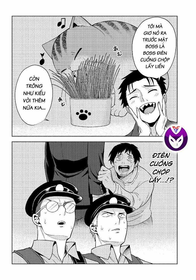 Đại Ca Băng Mèo Mướp Chapter 6 trang 4