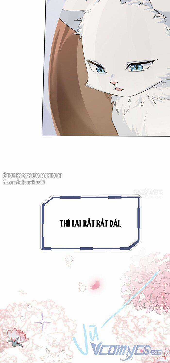 Đại Chiến Công Chúa Chapter 147 trang 10