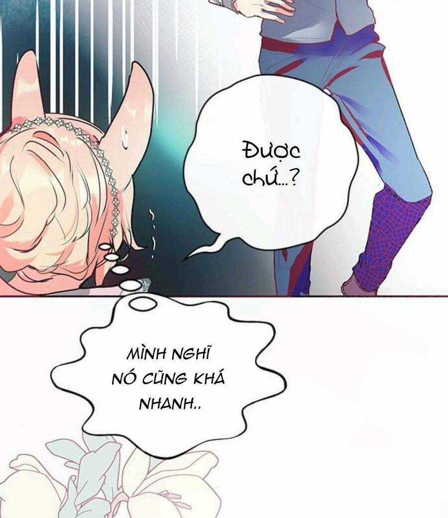 Đại Công Tước, Đó Chỉ Là Sai Lầm! Chapter 16 trang 40