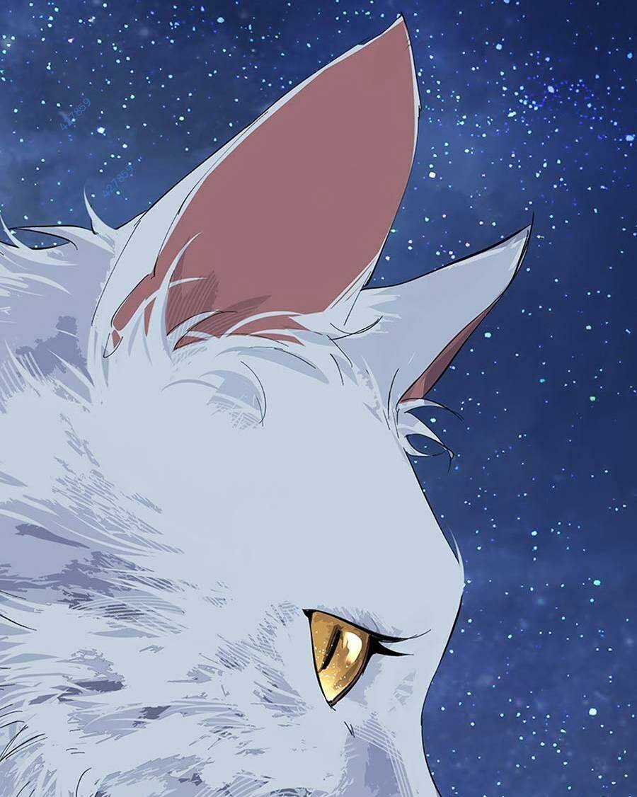 Đại Đạo Triều Thiên Chapter 74 trang 72